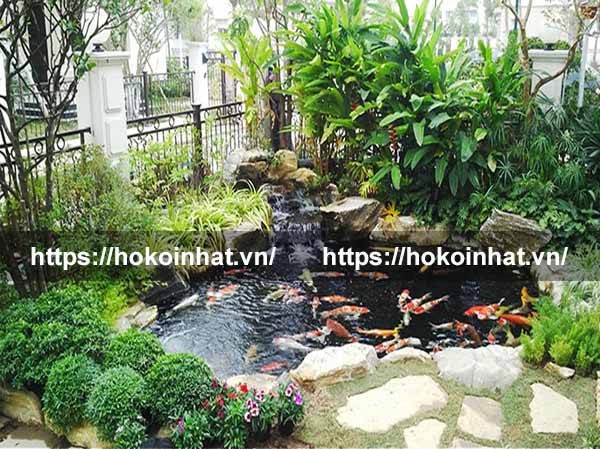 mẫu hồ cá koi quận 2 2020221