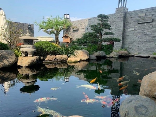 Thi công hồ cá koi Tiền Giang 3